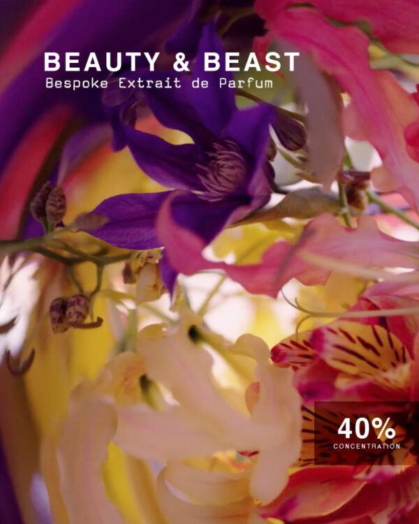 Buy Beauty & Beast | Inspired by Myriad Louis Vuitton | IK Memoir