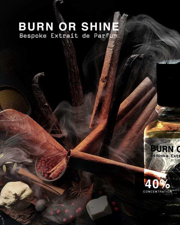 Buy Burn or Shine | Inspired by Smoking Hot by Kilian | IK Memoir